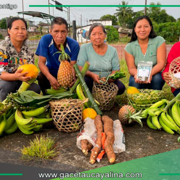 Loreto: Agricultores ofrecen canastas de productos agrícolas orgánicos