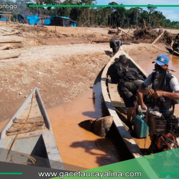Minería ilegal pierde más de S/2 mil millones por interdicciones
