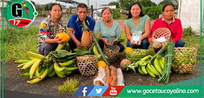 Loreto: Agricultores ofrecen canastas de productos agrícolas orgánicos