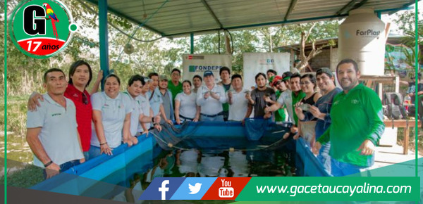 PRODUCE y DEVIDA impulsan la acuicultura sostenible con capacitación en cultivo de tilapia en Huánuco