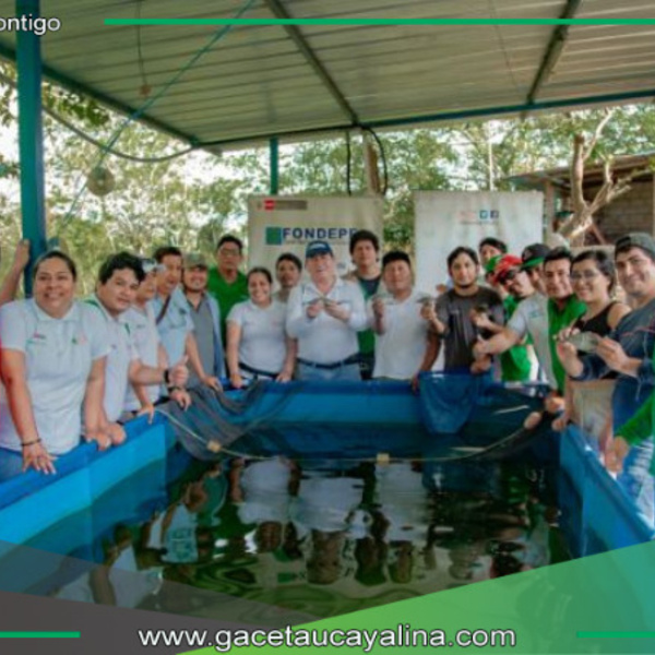 PRODUCE y DEVIDA impulsan la acuicultura sostenible con capacitación en cultivo de tilapia en Huánuco