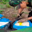 Decomisan 100 kilos de cocaína en operativo antidrogas en San Martín