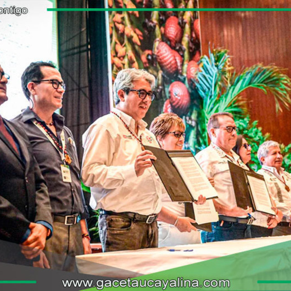 Clausura de la XIV Reunión anual de la GCF Task Force.