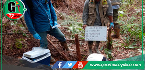 Reportan avance en sitios impactados por hidrocarburos