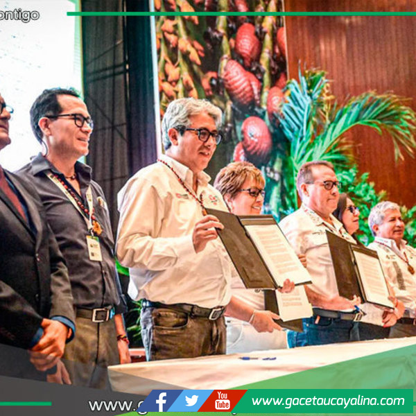  Acuerdo para frenar tala ilegal.