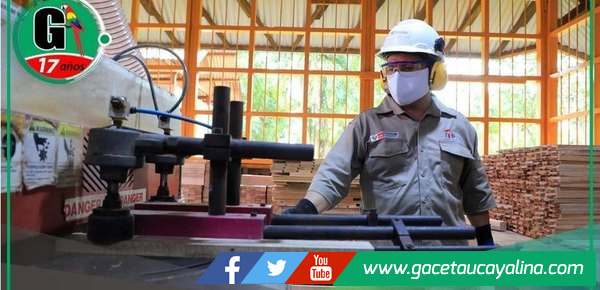 Mypes del Perú podrán proveer muebles fabricados con madera a entidades públicas