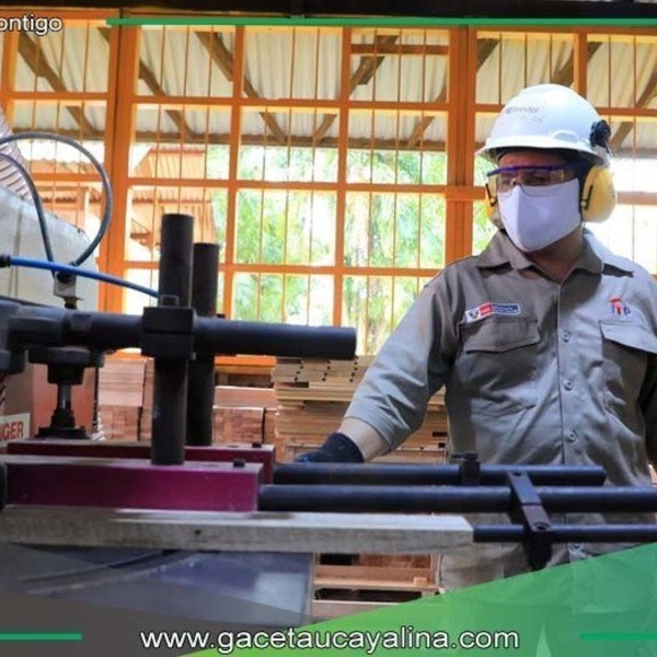 Mypes del Perú podrán proveer muebles fabricados con madera a entidades públicas