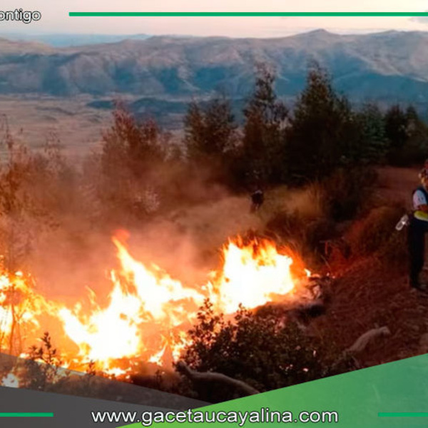 Familias afectadas por incendios en Ucayali recibirán ayuda.