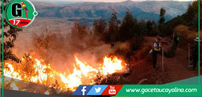 Familias afectadas por incendios en Ucayali recibirán ayuda.