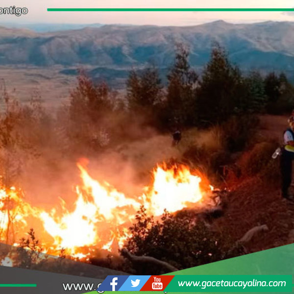 Familias afectadas por incendios en Ucayali recibirán ayuda.