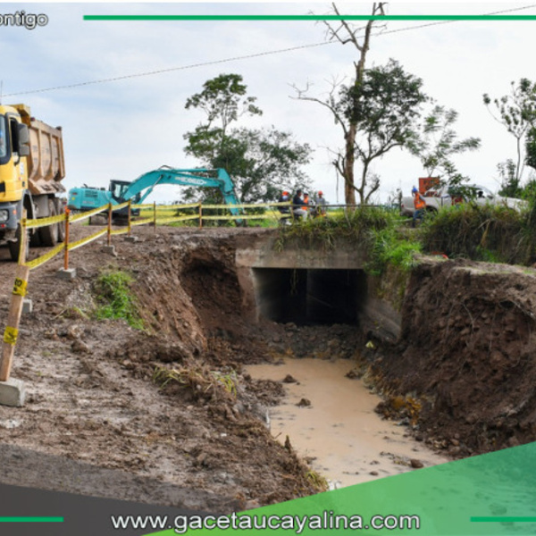 Megaproyecto de S/ 43 millones transformará producción arrocera en San Martín