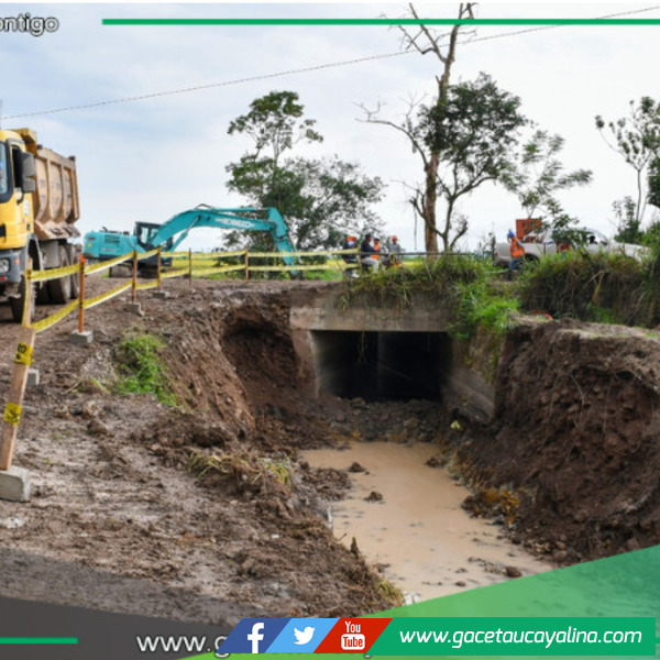 Megaproyecto de S/ 43 millones transformará producción arrocera en San Martín