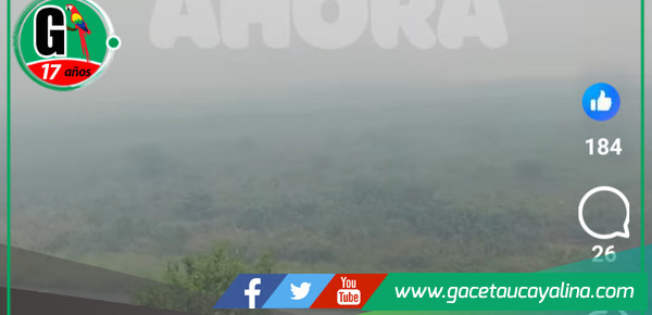 Inmensa nube de humo cubre la ciudad, cancelando vuelos y afectando la salud de los residentes.