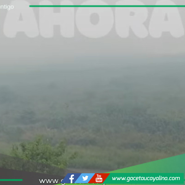 Inmensa nube de humo cubre la ciudad, cancelando vuelos y afectando la salud de los residentes.