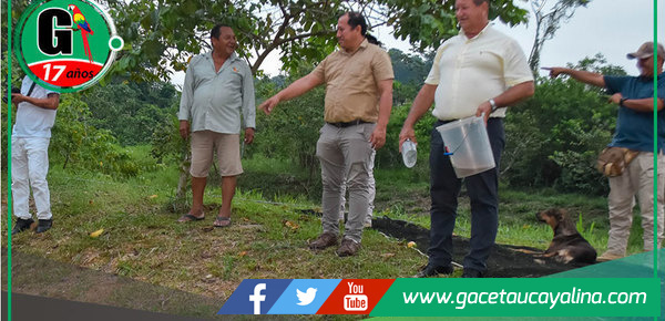 Atalaya impulsa crianza de paiche para desarrollo económico