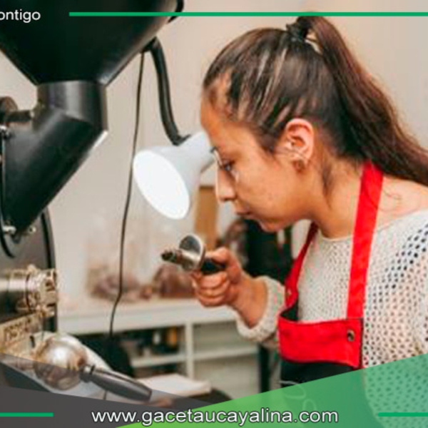 Concurso del mejor café peruano de 2024 ingresa a su etapa final