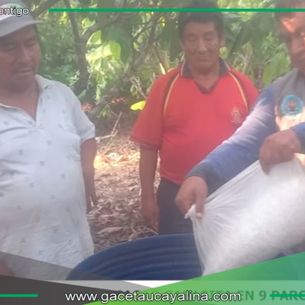 Proyecto Cacao impulsa técnicas sostenibles en Campo Verde
