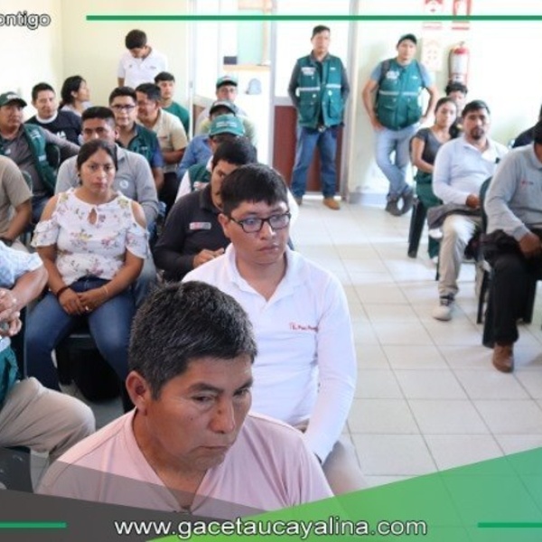 SENASA despliega cerco sanitario contra bacteria que amenaza café y cítricos en Selva Central