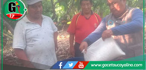 Proyecto Cacao impulsa técnicas sostenibles en Campo Verde