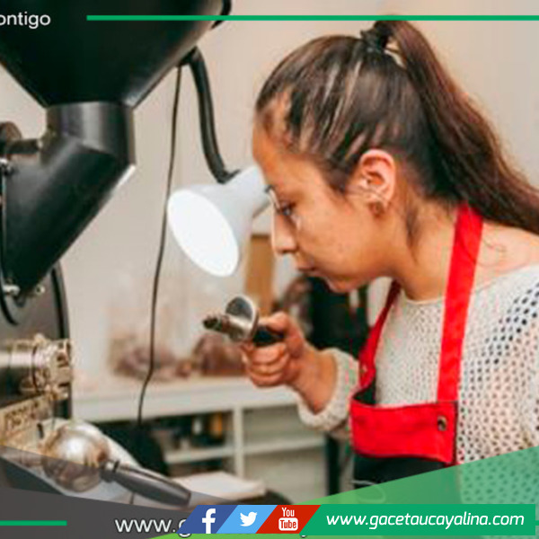 Concurso del mejor café peruano de 2024 ingresa a su etapa final