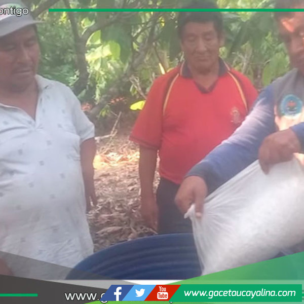 Proyecto Cacao impulsa técnicas sostenibles en Campo Verde