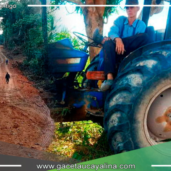 Menonitas en problemas por deforestar la Amazonía,Fiscalía pide más de 8 años de prisión preventiva.