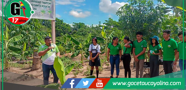 Estudiantes de Sepahua fortalecen conocimientos en agropecuaria en Pucallpa