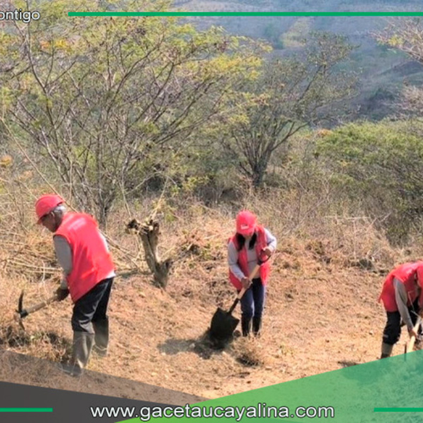 51 centros poblados se beneficiarán con obras de mejoramiento de caminos rurales