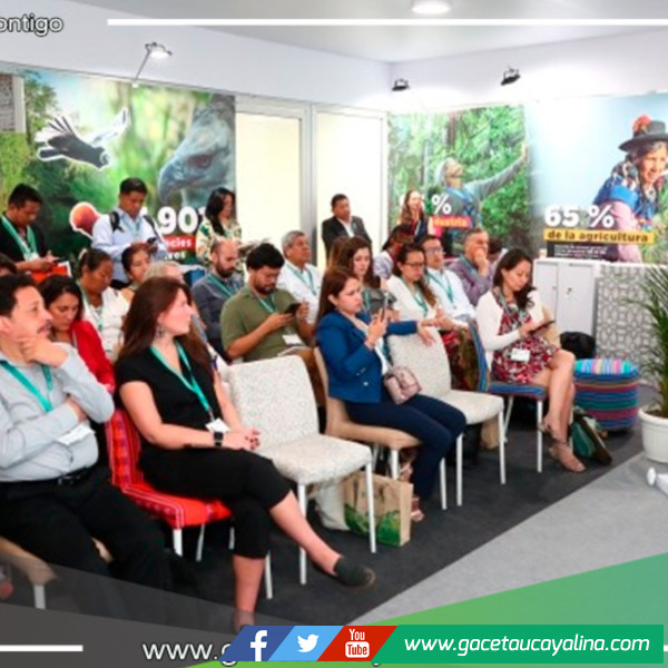 GORE Ucayali de la mano con países miembros de la COP16 establecen alianzas para proteger la biodiversidad