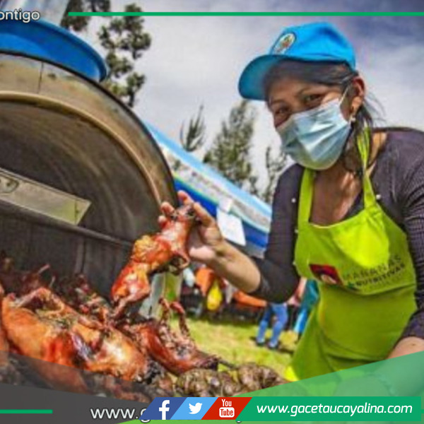El Día Nacional del Cuy se conmemorará con ferias en Cusco, Arequipa, Cajamarca y Lima.