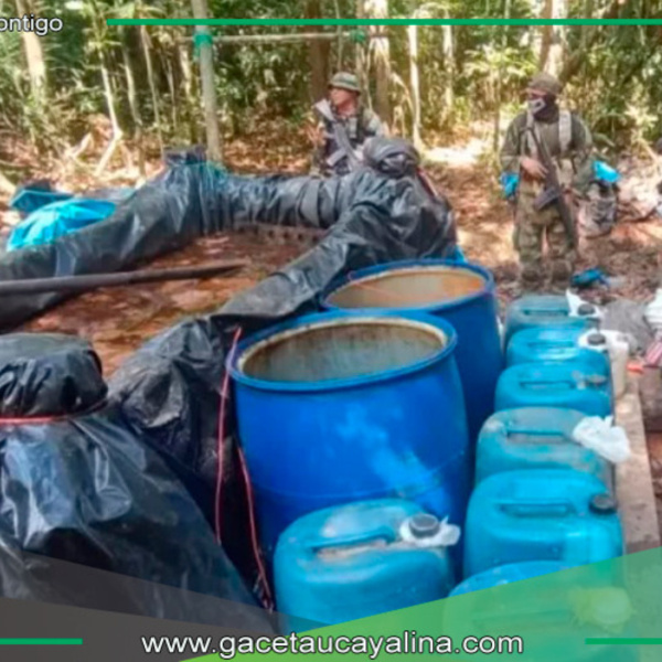 Desmantelan 4 laboratorios clandestinos e incautan 15 toneladas de coca
