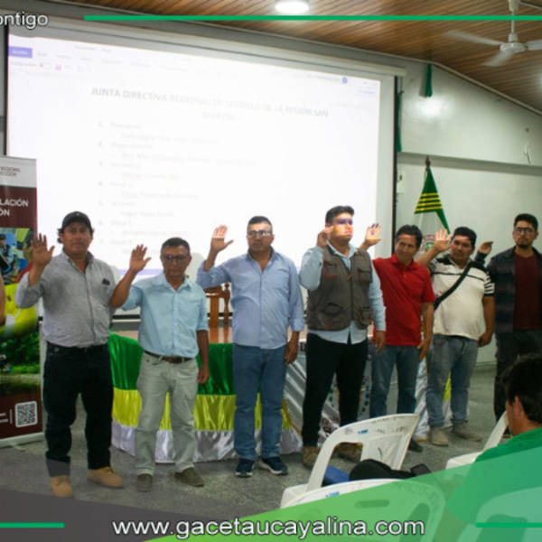 San Martín reactiva mesa técnica para impulsar industria ladrillera regional