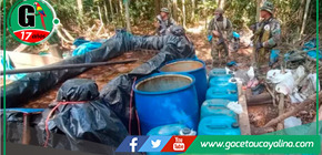 Desmantelan 4 laboratorios clandestinos e incautan 15 toneladas de coca