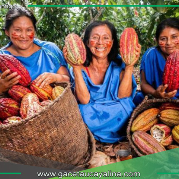 Perú lanza proyecto millonario para proteger bosques y potenciar agroexportación