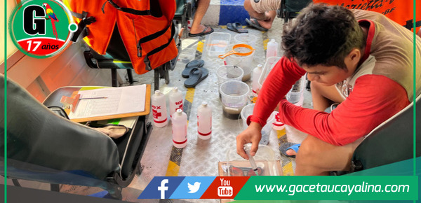 Estudio revela que el Canal del Puinahua alberga más de 700 especies de peces 