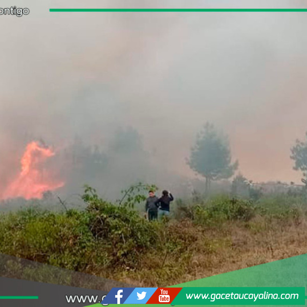 Extinguen y controlan incendios forestales en Bongará