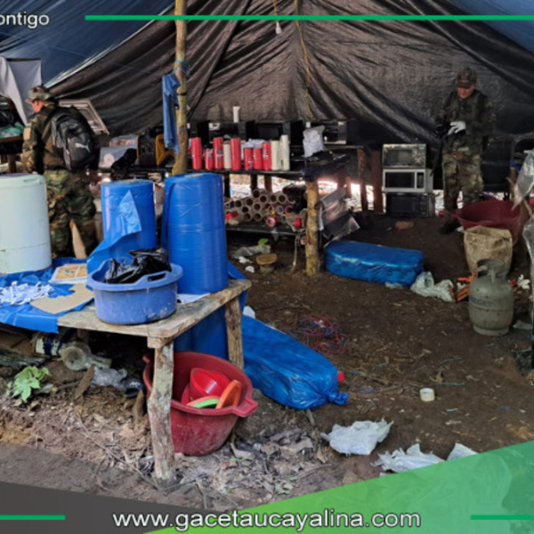 Desmantelan megalaboratorio de cocaína en la selva de Huánuco