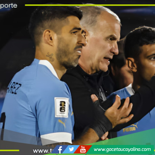 Suárez vs. Bielsa, un lío que divide: el impacto en Uruguay y cómo influye a poco del partido con Perú