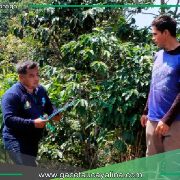 OSINFOR capacita a productores contra la deforestación 