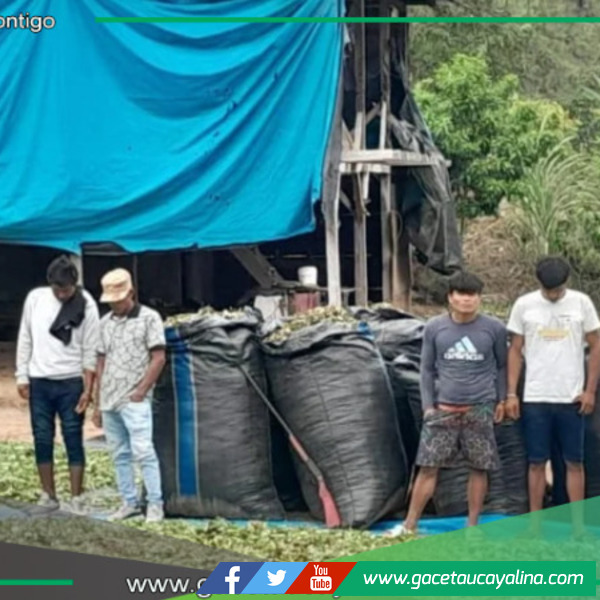 Desarticulan organización criminal de narcotráfico en operativo conjunto entre Huánuco y Ucayali