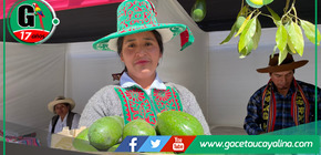 Cusco exportará 50 toneladas semanales de palta a Costa Rica en 2025