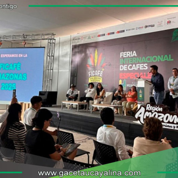 Región Amazonas será sede de la Ficafé en 2025