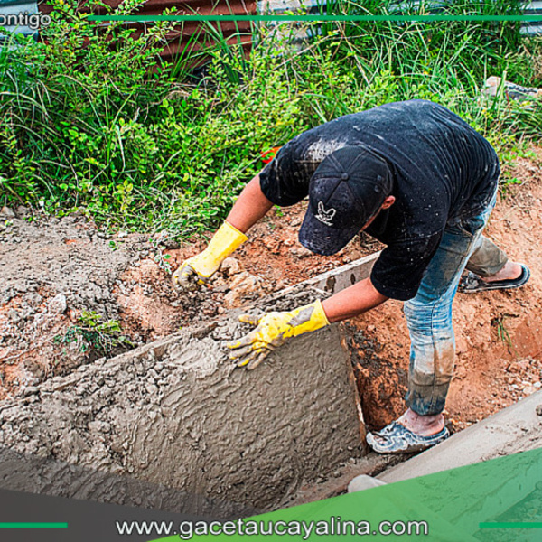 Detectan fallas en carretera a Cashibococha