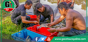 Devida impulsa la piscicultura en comunidades del Putumayo