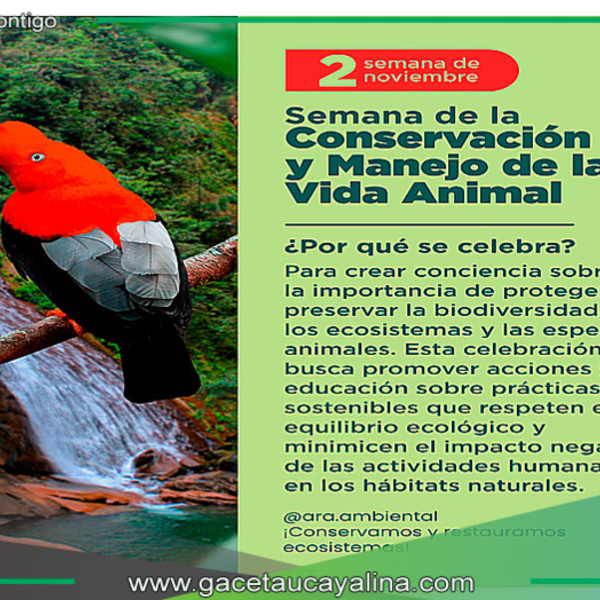  Conservación y Manejo de Vida Animal