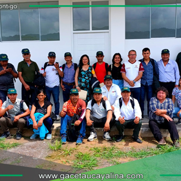 San Martín se consolida como modelo de apicultura sostenible