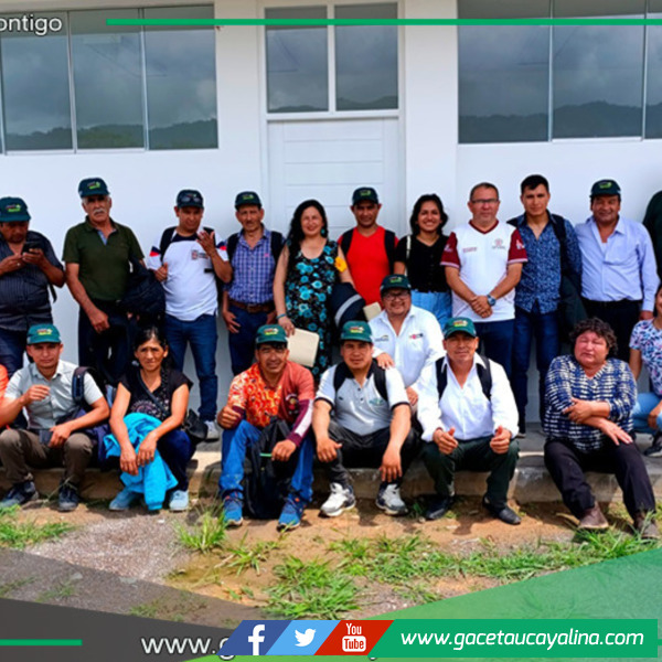 San Martín se consolida como modelo de apicultura sostenible