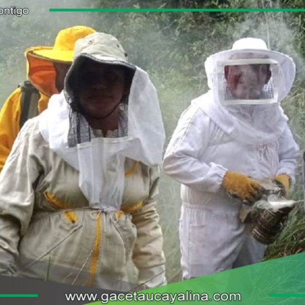 Apicultores de diversas regiones se capacitan en prácticas sostenibles