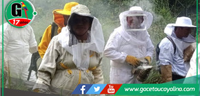 Apicultores de diversas regiones se capacitan en prácticas sostenibles