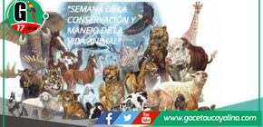 Municipalidad de Nueva Requena Impulsa Conservación Animal.